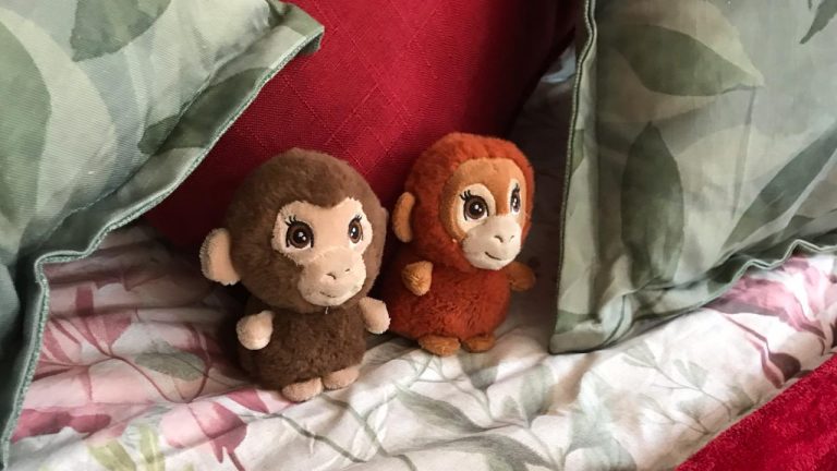 IMG 20240610 WA0021 768x432