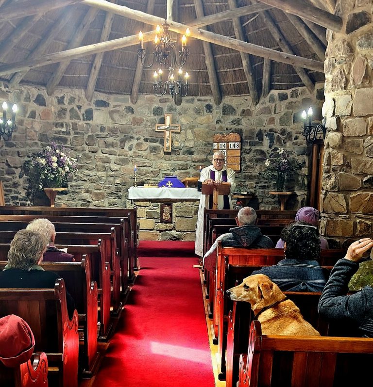 dog church 1 2 768x798